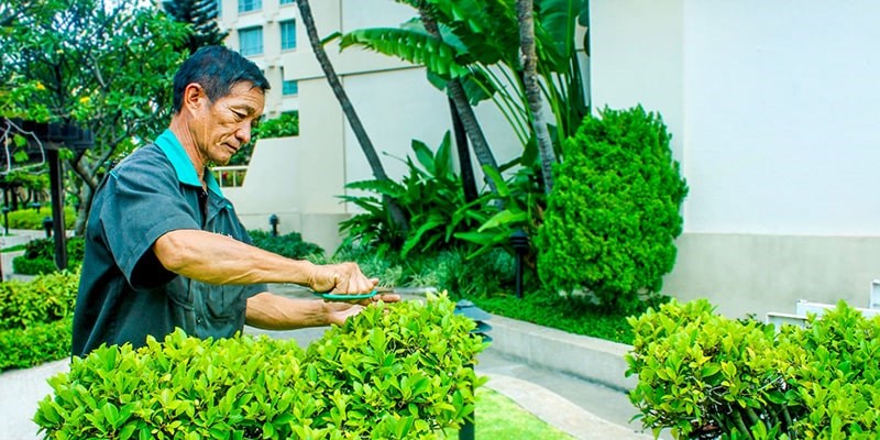Bảo Dưỡng Cảnh Quan