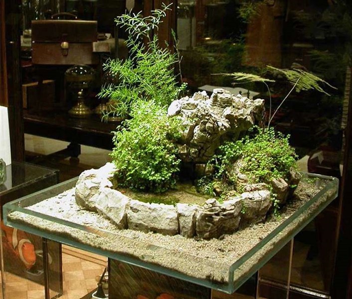 Những Lợi Ích Khi Sử Dụng Tiểu Cảnh Non Bộ Cho Môi Trường Sống Xanh